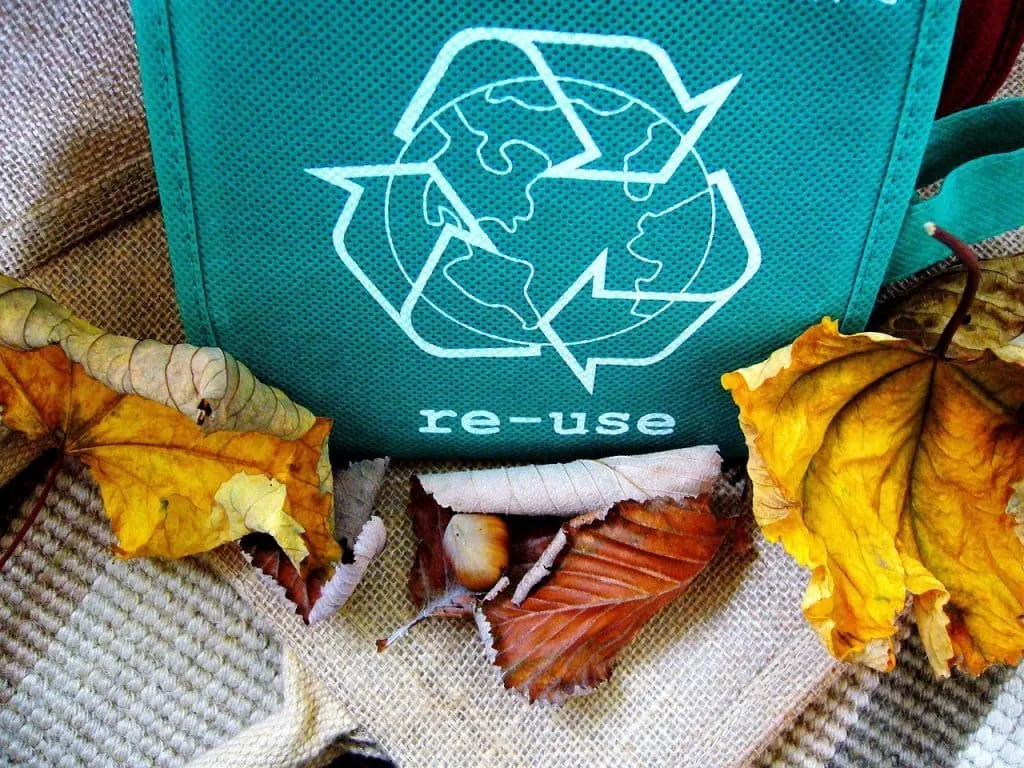 découvrez l'importance du recyclage pour l'environnement et la durabilité. apprenez comment adopter des pratiques écoresponsables au quotidien et contribuer à la protection de notre planète.