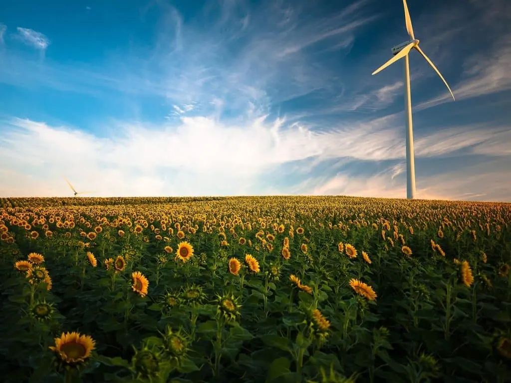 découvrez les dernières avancées et tendances en matière d'énergie renouvelable. informez-vous sur les sources d'énergie durables, les technologies innovantes et les avantages écologiques qui transforment notre avenir énergétique.