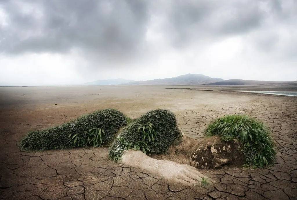 découvrez les accusations environnementales qui secouent l'actualité. analyse des enjeux, des impacts et des réponses des entreprises et des gouvernements face aux défis écologiques. informez-vous sur les conséquences de la pollution et des pratiques non durables.