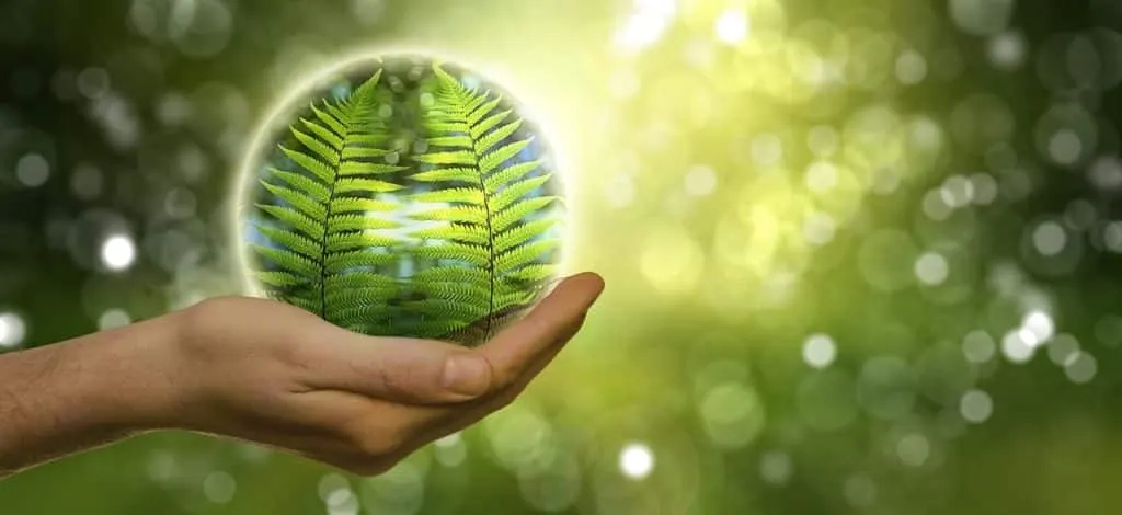 découvrez les accusations environnementales qui secouent le monde actuel. analysez les enjeux écologiques, les responsabilités des industrialistes et les impacts sur notre planète, tout en explorant les solutions possibles pour un avenir durable.