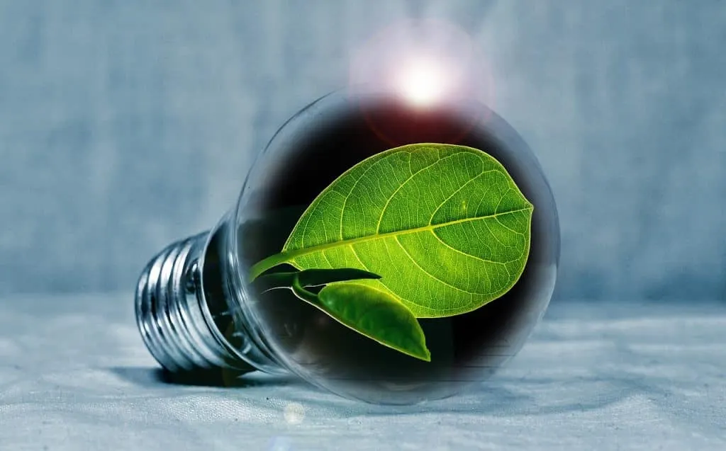 découvrez comment l'innovation transforme notre quotidien et façonne l'avenir. explorez les dernières tendances, technologies et idées révolutionnaires qui redéfinissent les industries et améliorent notre qualité de vie.
