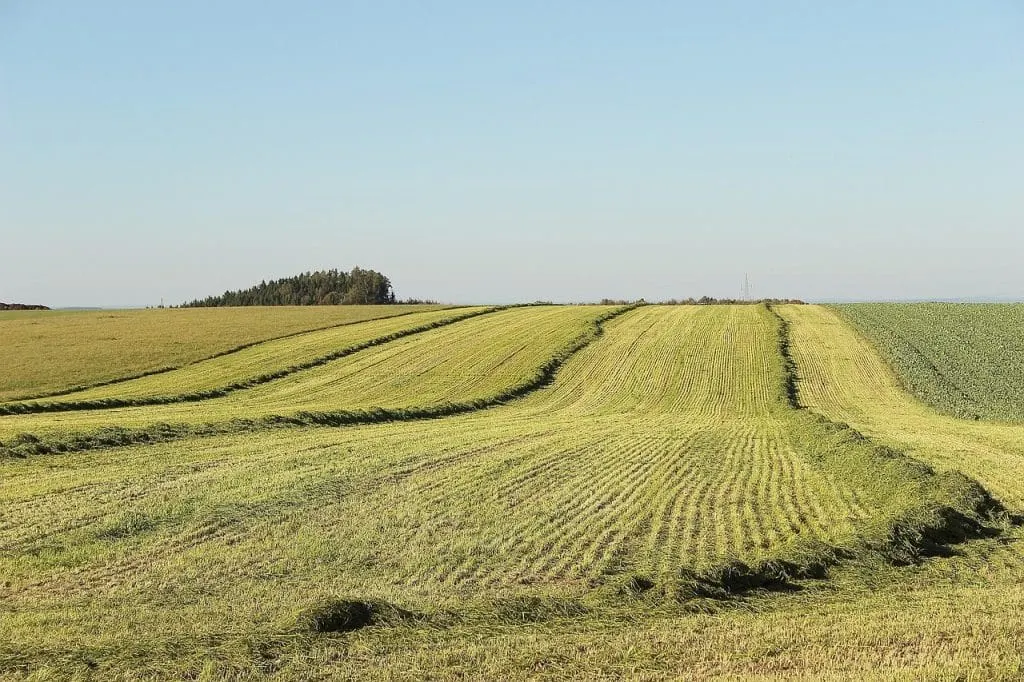 découvrez les enjeux de l'appropriation des terres, un sujet clé en matière de développement durable et de droits fonciers. explorez les différentes facettes de cette pratique et son impact sur les communautés et l'environnement.
