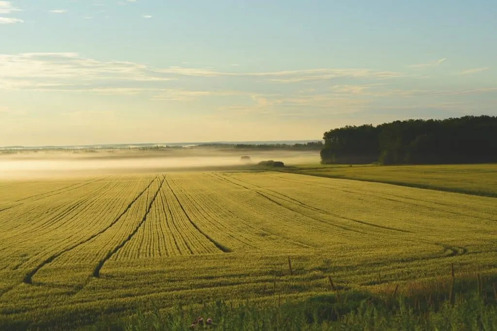 découvrez les conséquences de l'appropriation des terres, une problématique cruciale qui touche l'environnement, les droits des communautés et les enjeux économiques. plongez dans une analyse approfondie des impacts sociaux et culturels de ce phénomène à l'échelle mondiale.