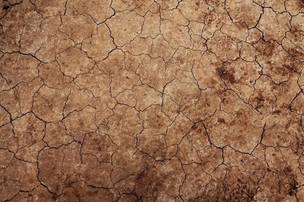 découvrez les enjeux de l'appropriation des terres, un sujet crucial qui impacte l'agriculture, l'environnement et les droits humains. informez-vous sur les processus, les conséquences et les luttes pour une gestion équitable des ressources foncières.