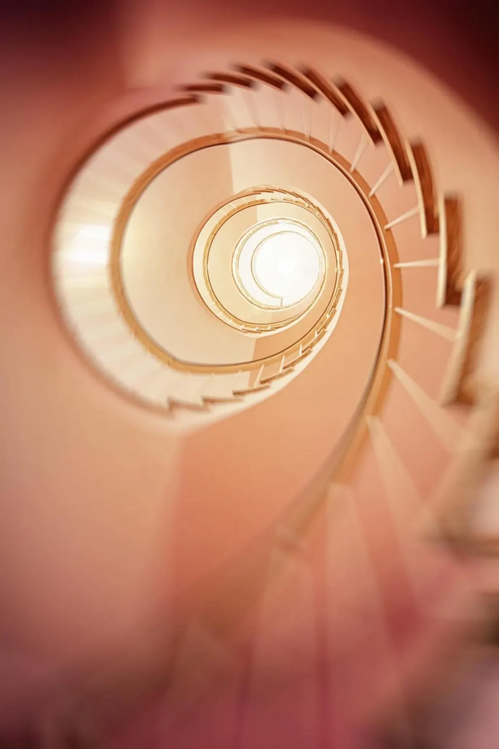 découvrez l'ascension et la chute fascinantes des personnages emblématiques dans 'rise and fall'. explorez les thèmes du pouvoir, de la réussite et des conséquences de vos choix dans cette saga captivante.