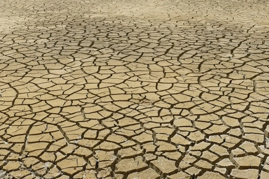 découvrez comment le changement climatique impacte notre planète, les causes et les effets sur l'environnement, ainsi que les solutions pour lutter contre ce phénomène mondial pressant.