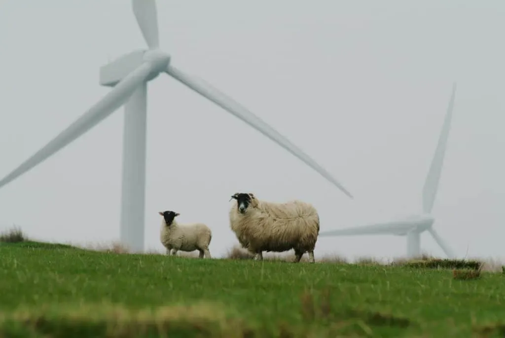 découvrez tout sur la durabilité : concepts, enjeux et solutions pour un avenir respectueux de l'environnement. adoptez des pratiques responsables et informez-vous sur les actions concrètes pour préserver notre planète.