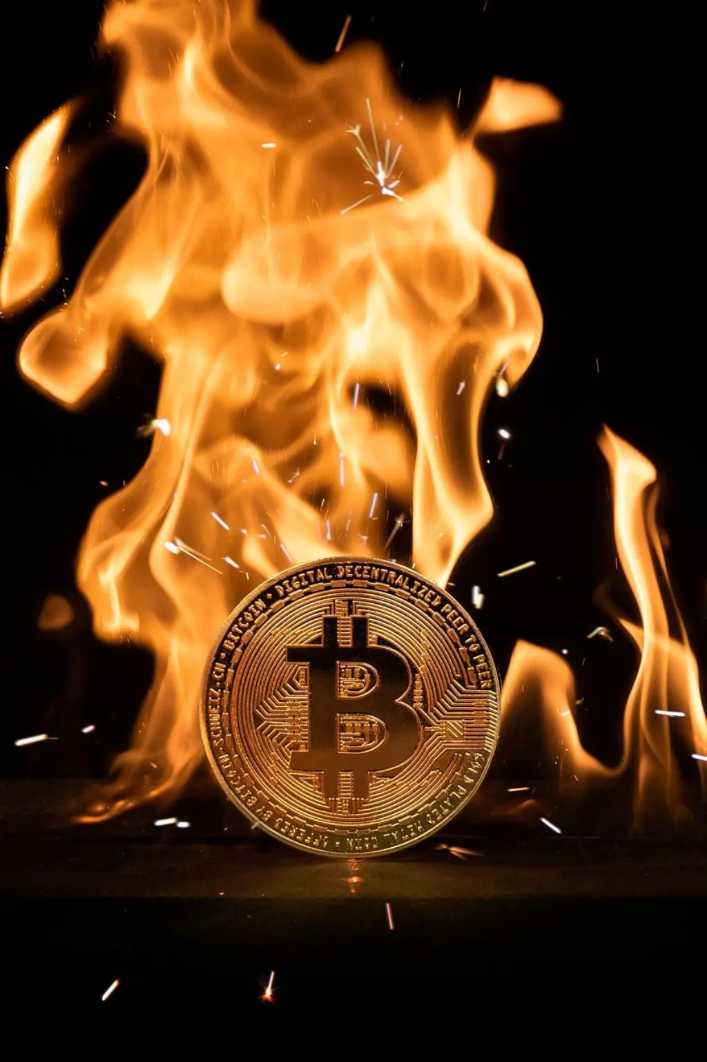 découvrez tout ce qu'il faut savoir sur le bitcoin : fonctionnement, avantages, comment acheter et sécuriser vos bitcoins facilement. guide complet pour débutants et investisseurs.