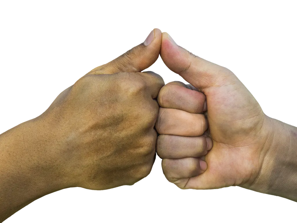 découvrez un accompagnement prometteur pour les pme, avec des solutions innovantes et un soutien personnalisé pour favoriser leur croissance et leur réussite.