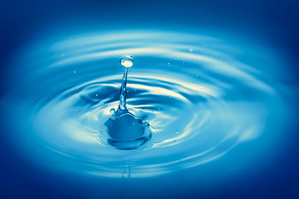 découvrez dma impact, une entreprise innovante spécialisée dans la gestion des déchets et le développement durable, offrant des solutions efficaces pour un environnement meilleur.
