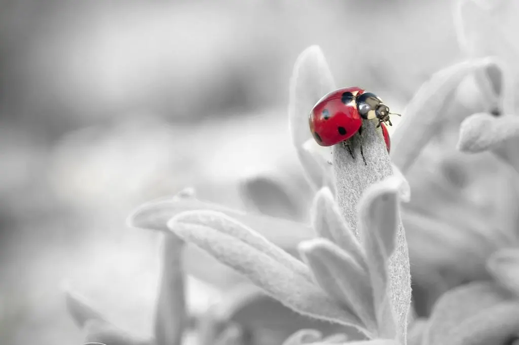 découvrez tout sur le micro-entrepreneuriat : définition, avantages, démarches pour créer et gérer facilement votre micro-entreprise en france.