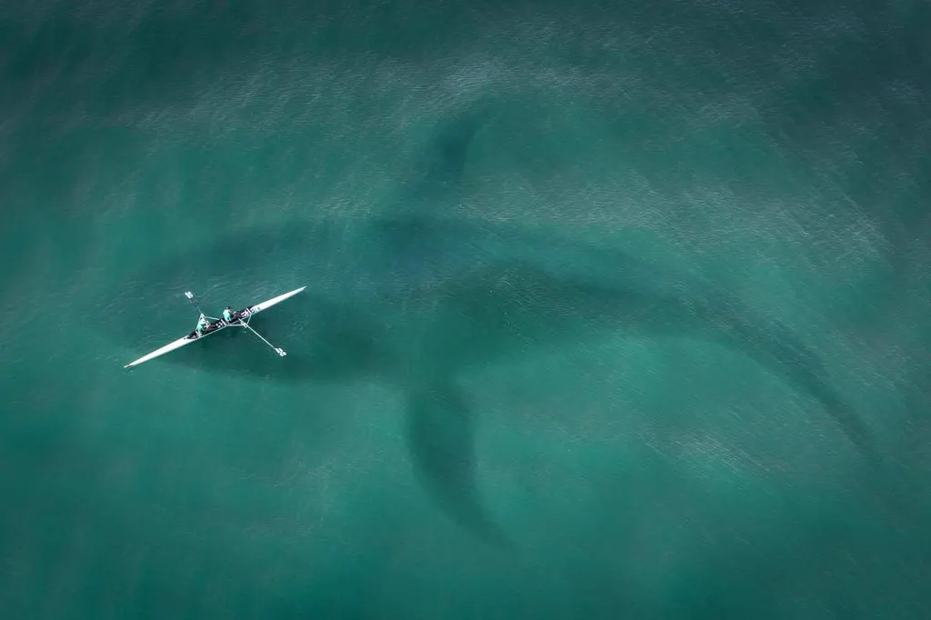 découvrez les meilleures techniques et astuces pour la pêche en kayak, alliant aventure et tranquillité au cœur de la nature.