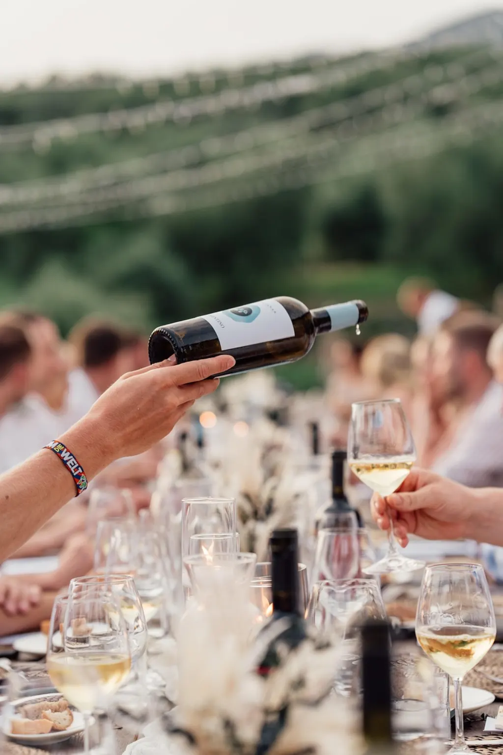 importateur de vin spécialisé proposant une sélection raffinée de vins du monde entier, garantissant qualité et authenticité pour les amateurs et professionnels.