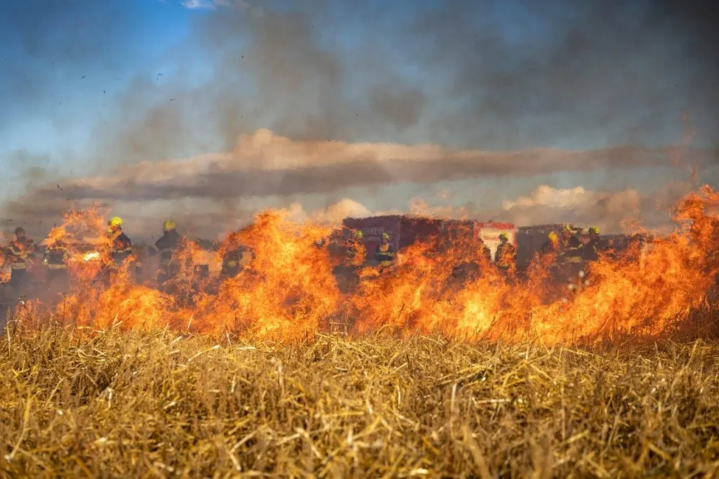 découvrez tout sur les feux de forêt : causes, impacts environnementaux, prévention et gestion des incendies sauvages.
