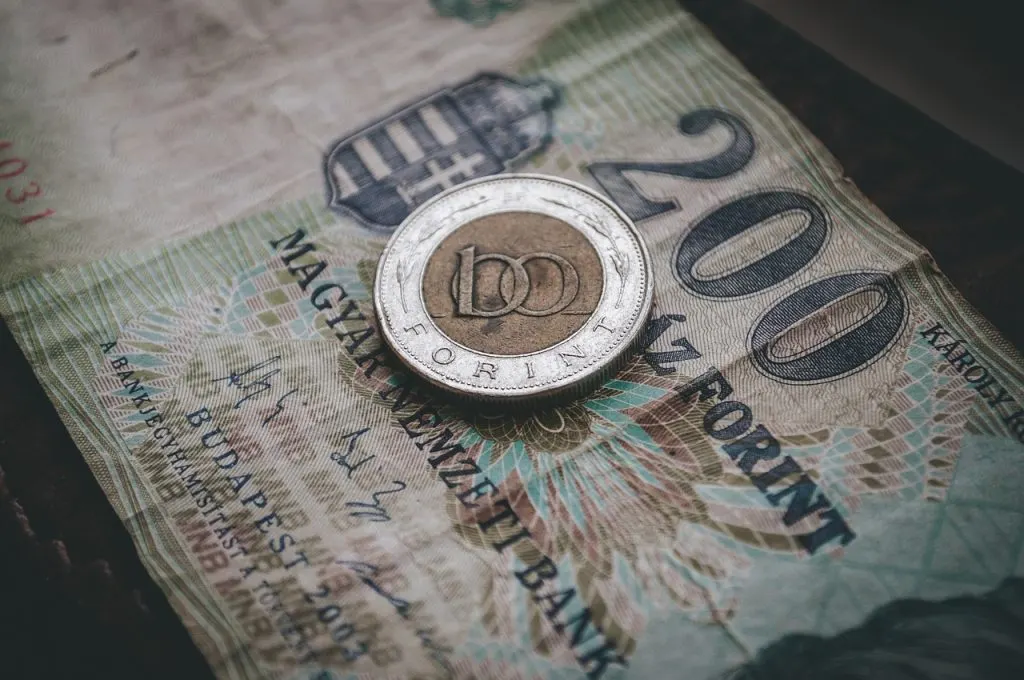 découvrez les entreprises hongroises : un aperçu des secteurs clés, des opportunités d'affaires et de l'économie dynamique de la hongrie.