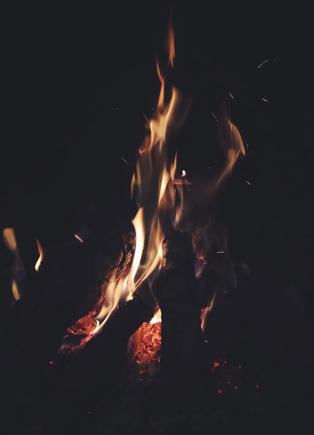 découvrez les causes, impacts et mesures de prévention des feux de forêt pour mieux comprendre et agir face à ces catastrophes naturelles.